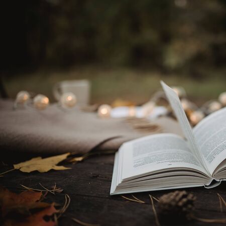 On an old wooden table in an autumn park lies an open book, a plaid, a garland with lights, a cup of yellow leaves and sos cones. Top view, in blur. Autumn warm dark mood, soft focusの写真素材