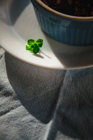baked oat-blueberry crumble with mint in a white and blue plate on a rustic linen tablecloth. Save the space, top view. The concept of healthy proper nutrition for breakfast, vegetarianismの写真素材