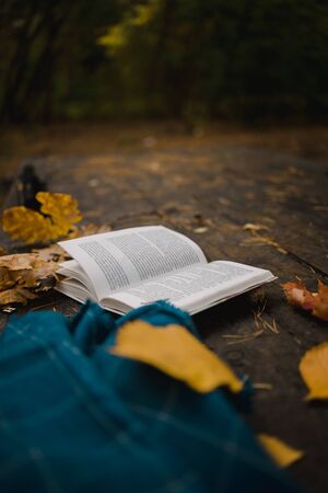 On an old wooden table in an autumn park lies an open book, a plaid, a garland with lights, a cup of yellow leaves and sos cones. Top view, in blur. Autumn warm dark mood, soft focusの写真素材
