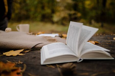 On an old wooden table in an autumn park lies an open book, a plaid, a garland with lights, a cup of yellow leaves and sos cones. Top view, in blur. Autumn warm dark mood, soft focusの写真素材