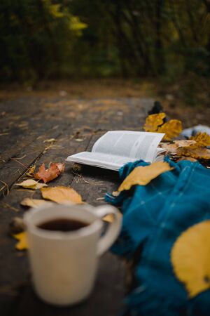 On an old wooden table in an autumn park lies an open book, a plaid, a garland with lights, a cup of yellow leaves and sos cones. Top view, in blur. Autumn warm dark mood, soft focusの写真素材