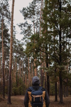 A young guy with a backpack in the hat, traveler, hipster standing in the woods, Hiking, Forest,Journey..の写真素材