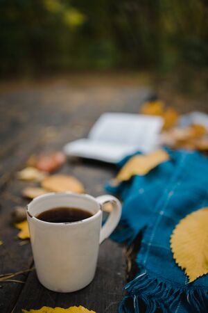On an old wooden table in an autumn park lies an open book, a plaid, a garland with lights, a cup of yellow leaves and sos cones. Top view, in blur. Autumn warm dark mood, soft focusの写真素材