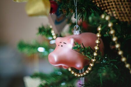 Christmas toys in the form of a pink pig on a Christmas decorated Christmas tree. Close-upの写真素材