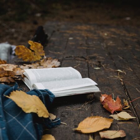 On an old wooden table in an autumn park lies an open book, a plaid, a garland with lights, a cup of yellow leaves and sos cones. Top view, in blur. Autumn warm dark mood, soft focusの写真素材