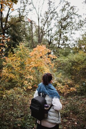 Hiking woman at autumn forest. Backpacker standing in woodland during fall season. Enjoying hike in nature at sunny day.の写真素材