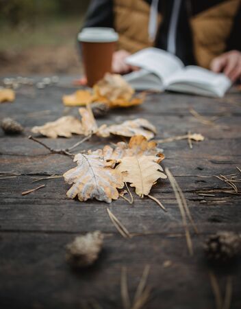 male female reads a book in autumn park drinks takeaway coffee coffee. Close-up over shoulder, blurred. top view, save space. Seen hands. In a dark retro style.の写真素材