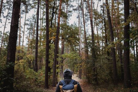 A young guy with a backpack in the hat, traveler, hipster standing in the woods, Hiking, Forest,Journey..の写真素材