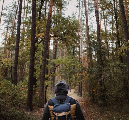 A young guy with a backpack in the hat, traveler, hipster standing in the woods, Hiking, Forest,Journey..の写真素材
