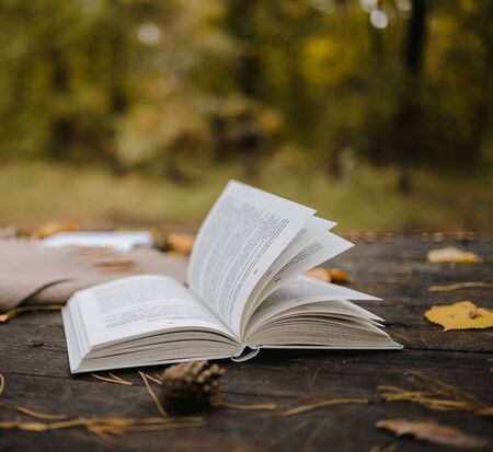On an old wooden table in an autumn park lies an open book, a plaid, a garland with lights, a cup of yellow leaves and sos cones. Top view, in blur. Autumn warm dark mood, soft focusの写真素材