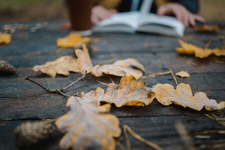 male female reads a book in autumn park drinks takeaway coffee coffee. Close-up over shoulder, blurred. top view, save space. Seen hands. In a dark retro style.の写真素材