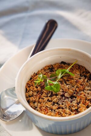 baked oat-blueberry crumble with mint in a white and blue plate on a rustic linen tablecloth. Save the space, top view. The concept of healthy proper nutrition for breakfast, vegetarianismの写真素材