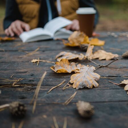 male female reads a book in autumn park drinks takeaway coffee coffee. Close-up over shoulder, blurred. top view, save space. Seen hands. In a dark retro style.の写真素材