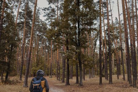 A young guy with a backpack in the hat, traveler, hipster standing in the woods, Hiking, Forest,Journey..の写真素材