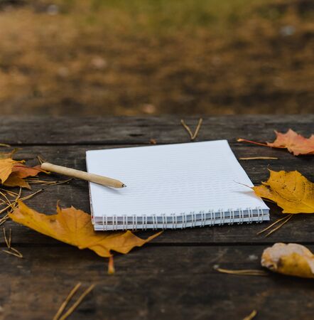 White blank notebook and pen on a dark background with a scarf, plaid and a cup, autumn yellow leaves and pine cones around. View from above. flat lay, in blur. Copy spaceの写真素材