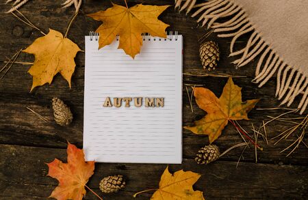 White blank notebook and pen with wooden letters the word autumn on a dark background with a scarf, plaid and a cup, autumn yellow leaves and pine cones around. View from above. flat lay, in blur. Copy spaceの写真素材