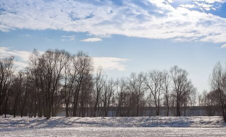 Snow Covered Forest Lake Under Bright Sunshine. Scenic Landscapeの写真素材