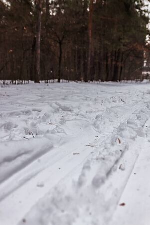 Landscape a lot of footprints in the snow in the forest, close-up, bottom view.の写真素材