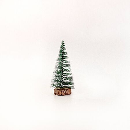 Miniature Christmas tree isolated on white background.の写真素材