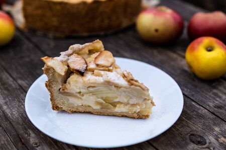 American apple Tsvetaevsky jellied open pie piece on a plate, close-up, on a dark wooden background. Flat lay.の写真素材