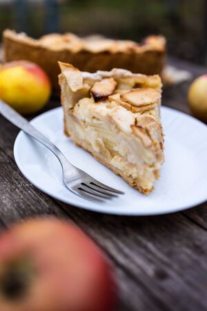 American apple Tsvetaevsky jellied open pie piece on a plate, close-up, on a dark wooden background. Flat lay.の写真素材
