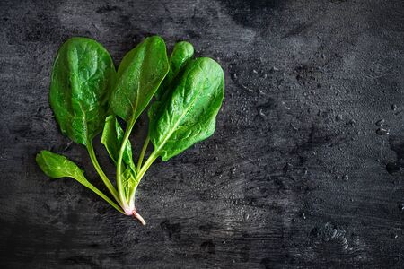 A bunch of young fresh juicy green spinach on a dark background. Flat lay. Copy spaceの写真素材