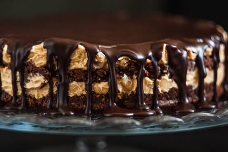 Chocolate round cake layers with butter-cream-nut cream with chocolate drips on a glass stand on a dark wooden background. Minimalism, Copy space. Selective focus, close-up.の写真素材