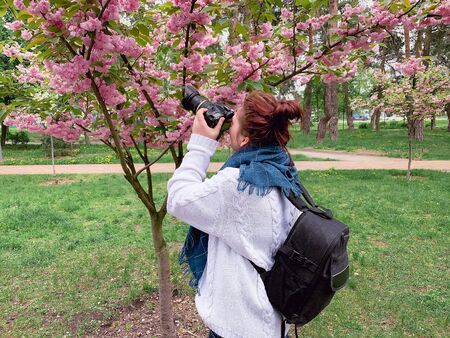 young happy smiling red-haired woman with a white sweater and blue scarf takes a picture with a flowering pink sakura tree in a park in the city of Kiev, Ukraineの写真素材