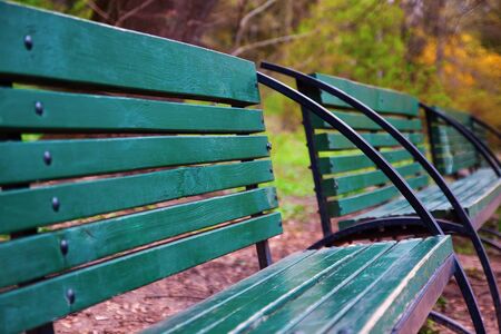 Green old wooden benches in autumn yellow city park. Kiev, Ukraine. Close-up, perspectiveの写真素材