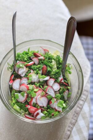 Fresh spring wholesome natural salad of radish vegetables, seasoned shallots, iceberg, romaine, cabbage in a transparent dish on the table. View from aboveの写真素材