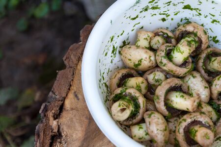 in a bowl raw mushrooms champignons in a marinade with herbs, dill in a rustic natural form. View from aboveの写真素材