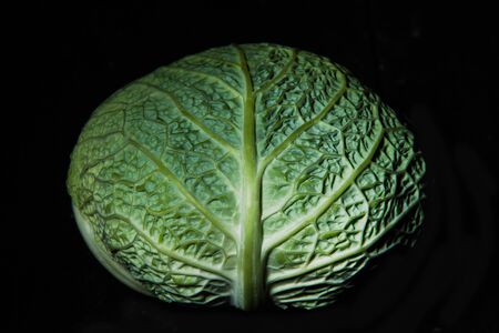 Savoy cabbage on a dark background close-up. Leaf, agriculture.の写真素材