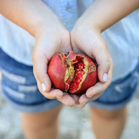 in female hands ripe juicy pomegranate fruit. Copy space. View from above.の写真素材