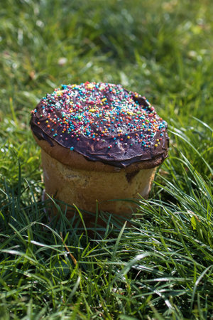 traditional easter cake with chocolate in the grass, top view, copy spaceの写真素材