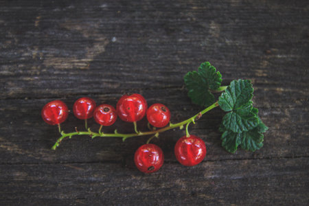 juicy fresh red currants on a dark old wooden background, top viewの写真素材
