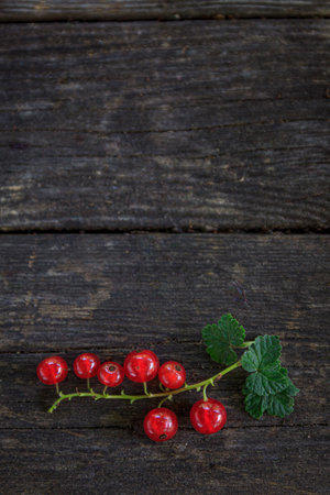 juicy fresh red currants on a dark old wooden background, top view.の写真素材