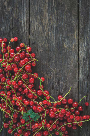 juicy fresh red currants on a dark old wooden background, top view.