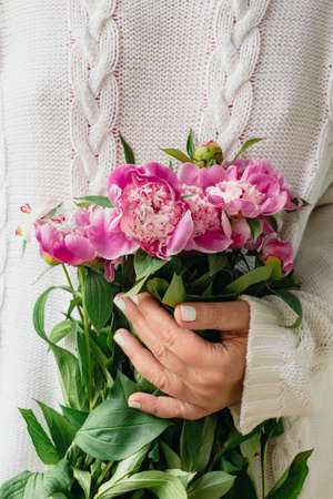 cropped young woman in white knitted sweater holding a bouquet of fresh flowers pink peoniesの写真素材