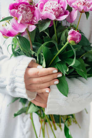 cropped young woman in white knitted sweater holding a bouquet of fresh flowers pink peoniesの写真素材