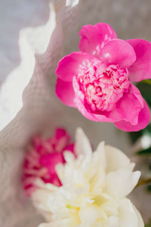 a bouquet of fresh white and pink peonies in a transparent glass vase with beautiful shadows near a white curtain tulle, in blur.の写真素材