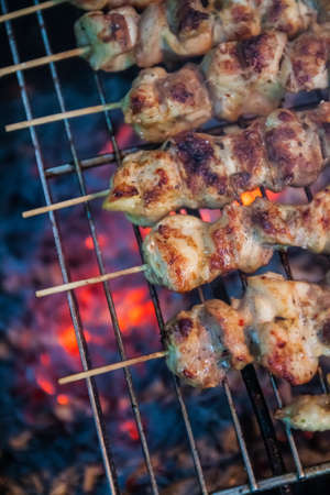 meat kebab on a skewer lies on the grill over burning coalsの写真素材