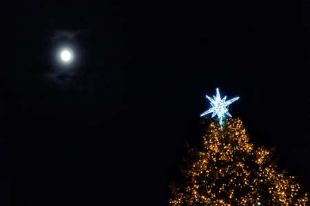 burning bright star on top of a large christmas tree against the sky with the moon.の写真素材