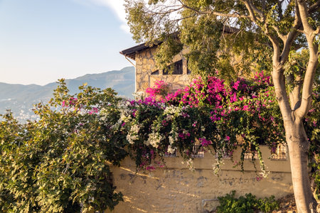 stone villa in flowers in italian style in turkey.の写真素材