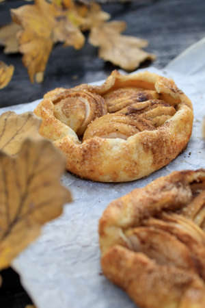rustic traditional french biscuit cake with apples in autumn style.の写真素材