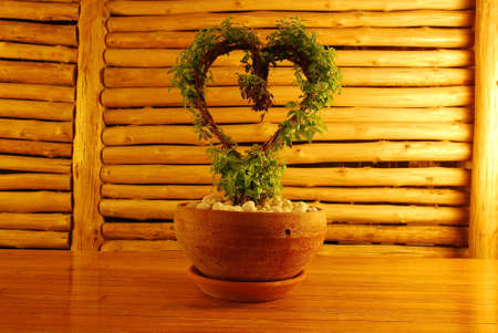 Heart treeの写真素材