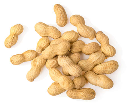 peanut isolated on white background