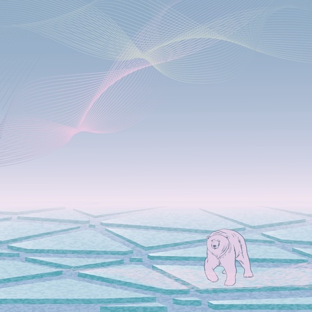  background with northern sea and polar bearの写真素材