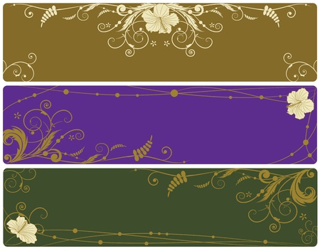 set of the floral banners with flowers of hibiscusのイラスト素材