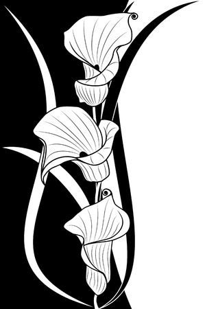 deep-bodied crevalle floral background  in black and white colorsのイラスト素材