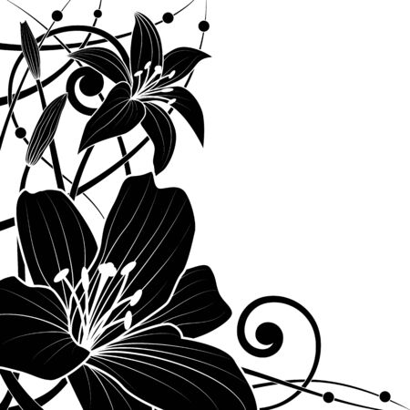 vector background of lily in black and white colorsのイラスト素材